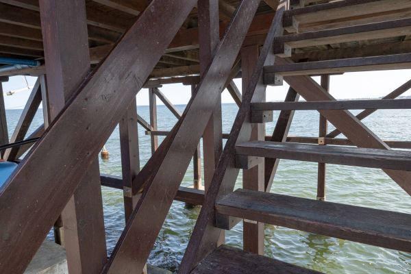 dsc-5579CD436DBF-EDBE-7B98-D9FB-C840E0CAB10E.jpg